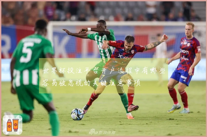 世界杯投注平台开户流程中有哪些容易被忽视的关键注意事项