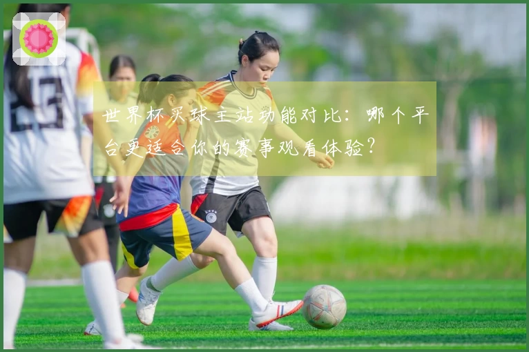 世界杯买球主站功能对比：哪个平台更适合你的赛事观看体验？
