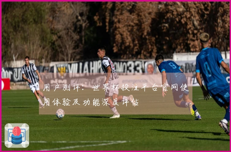 用户测评：世界杯投注平台官网使用体验及功能深度评估