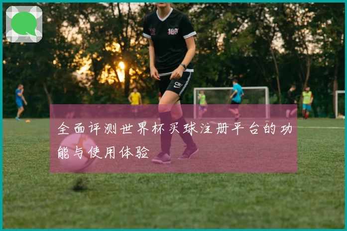 全面评测世界杯买球注册平台的功能与使用体验