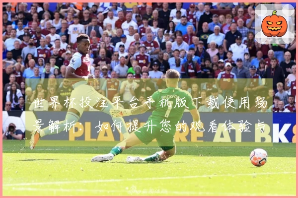 世界杯投注平台手机版下载使用场景解析：如何提升您的观看体验与互动乐趣
