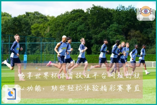 畅享世界杯体育投注平台网址的核心功能，助你轻松体验精彩赛事直播