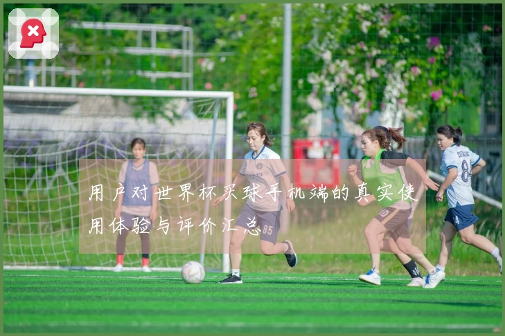 用户对世界杯买球手机端的真实使用体验与评价汇总