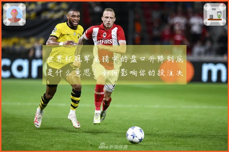 世界杯冠军竞猜中的盘口升降到底是什么意思？如何影响你的投注决策？