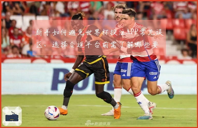 新手如何避免世界杯投注APP常见误区，选择合适平台前需了解哪些要点