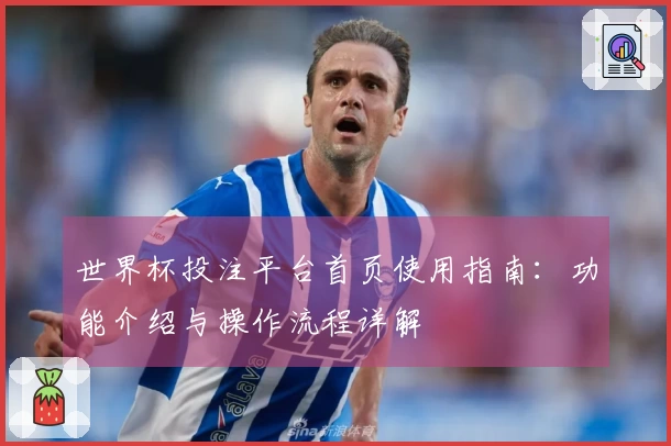 世界杯投注平台首页使用指南：功能介绍与操作流程详解
