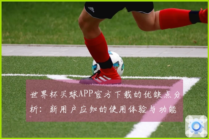 世界杯买球APP官方下载的优缺点分析：新用户应知的使用体验与功能介绍