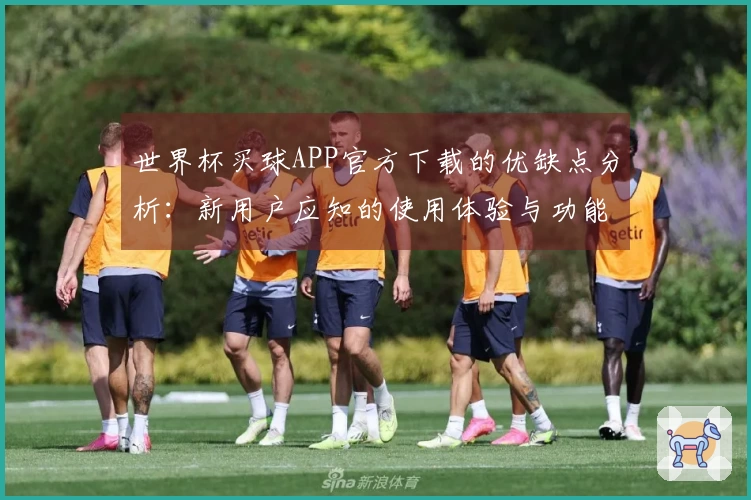 世界杯买球APP官方下载的优缺点分析：新用户应知的使用体验与功能介绍