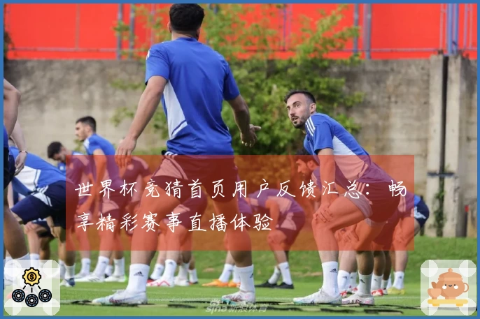 世界杯竞猜首页用户反馈汇总：畅享精彩赛事直播体验