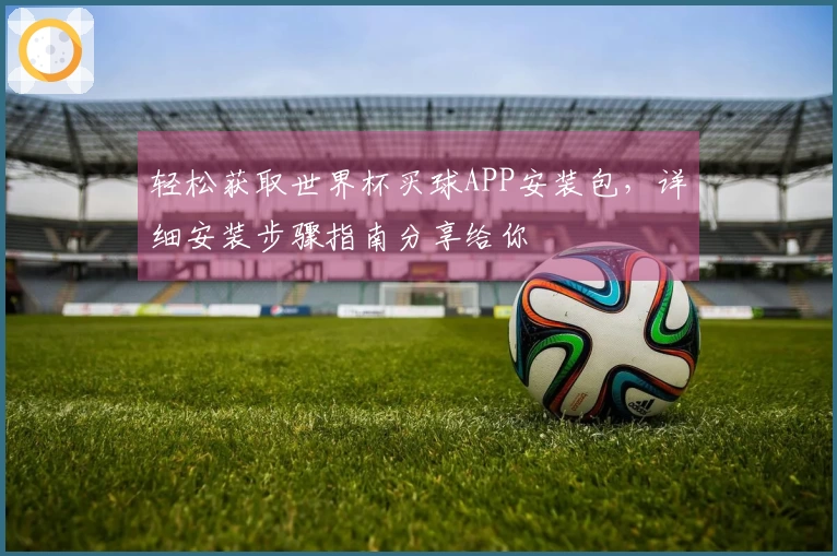 轻松获取世界杯买球APP安装包，详细安装步骤指南分享给你