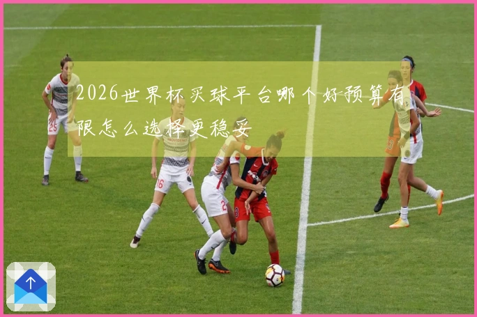 2026世界杯买球平台哪个好预算有限怎么选择更稳妥