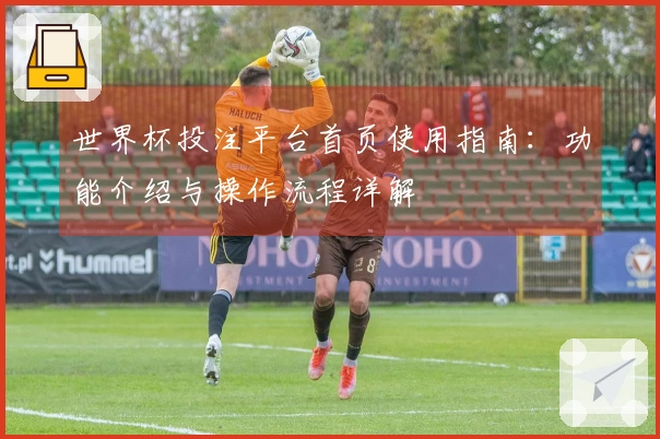 世界杯投注平台首页使用指南：功能介绍与操作流程详解