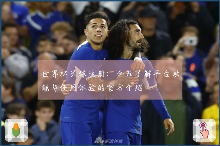 世界杯买球注册：全面了解平台功能与使用体验的官方介绍