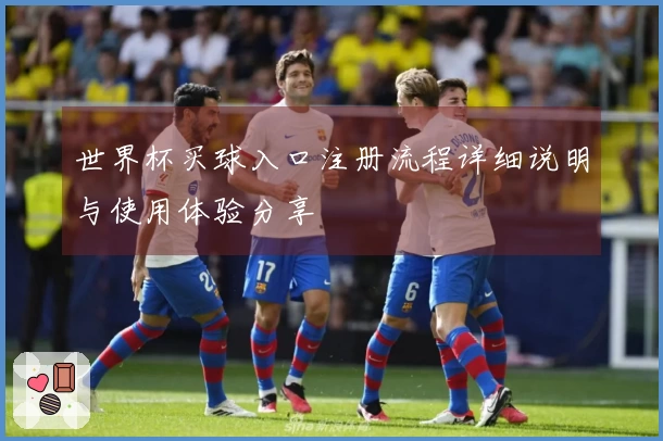世界杯买球入口注册流程详细说明与使用体验分享