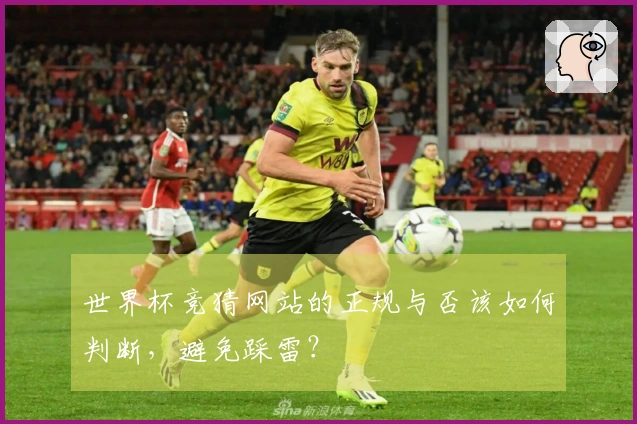 世界杯竞猜网站的正规与否该如何判断，避免踩雷？